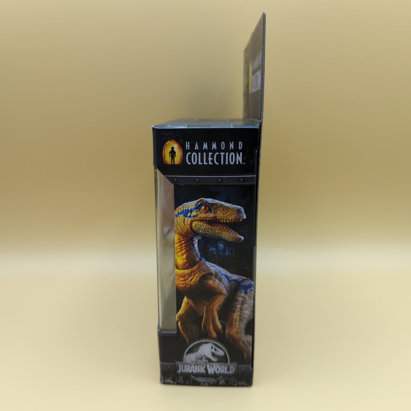 Velociraptor "Blue" - Hammond Collection